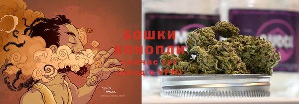 стаф Новокубанск