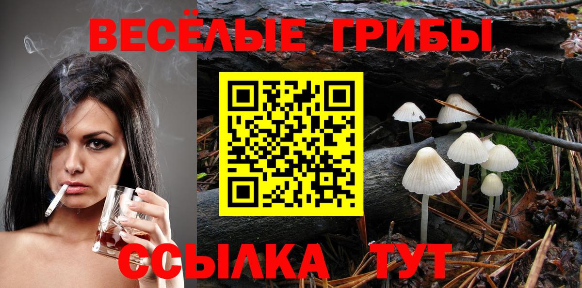 Псилоцибиновые грибы мухоморы Ишимбай